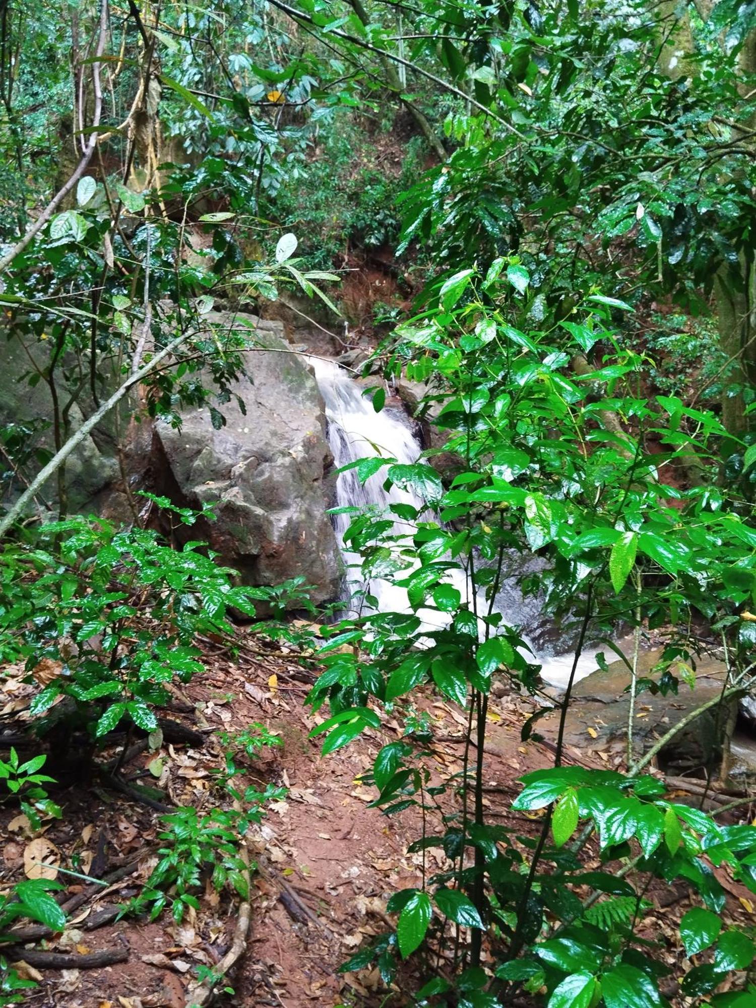 Chales Magia Das Aguas Águas de Lindóia エクステリア 写真